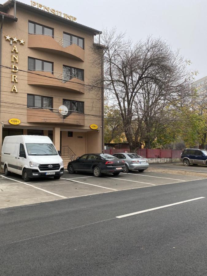 Pensiunea Andra Тимишоара Экстерьер фото