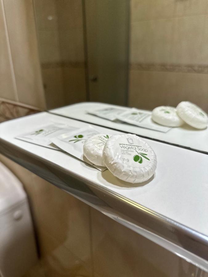 Pensiunea Andra Тимишоара Экстерьер фото