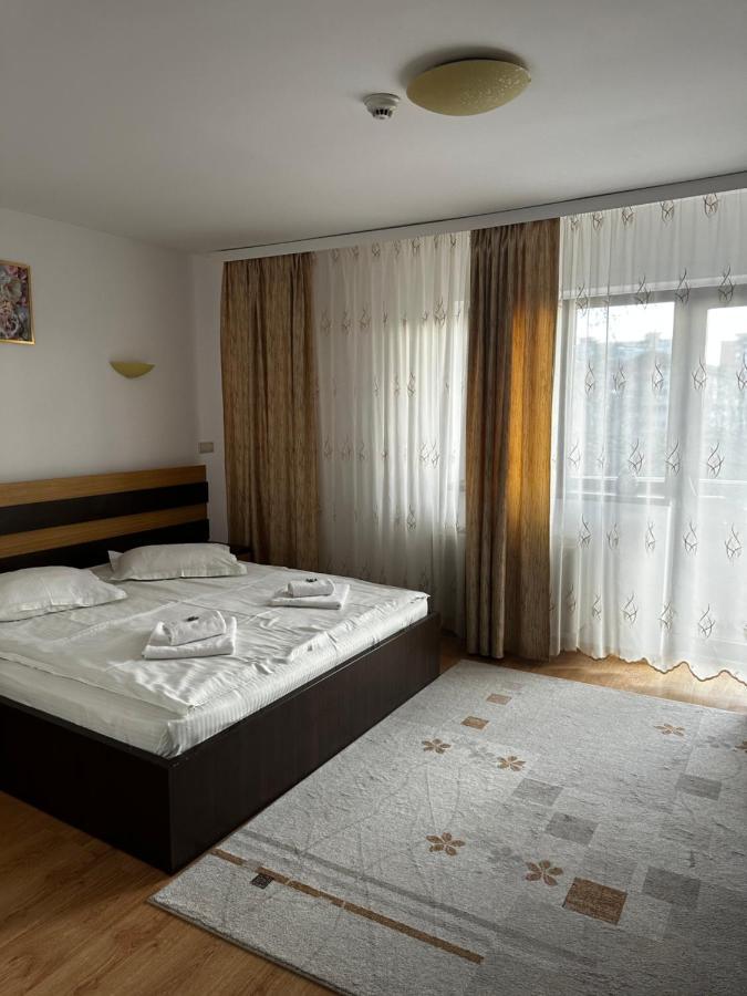 Pensiunea Andra Тимишоара Экстерьер фото